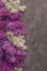 Papier Peint photo autocollant Lilas mélanger le lilas blanc et violet sur fond sombre, plante à floraison printanière, place pour le texte