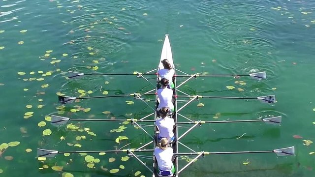 Four women rowing on the tranquil lake, full hd, slow motion video
