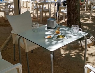 Pájaro en mesa de terraza de bar