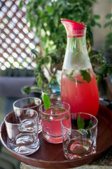 Cranberry juice with mint, summer refreshing drink