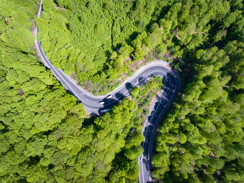 Winding forest road with cars on it. Top down view from a drone