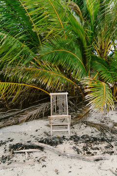 Broken chair on the beach surrounded by palms