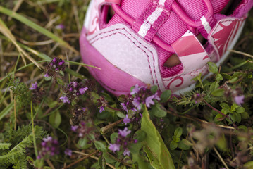 Pink Kid Shoe on pink Flowers