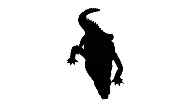 Crocodile swaying body climb crawling,Dangerous animals sketch silhouette.