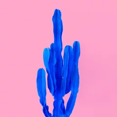 Zelfklevend Fotobehang Cactus Minimale mode-stijl © Porechenskaya