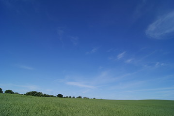 Fototapeta premium niebieskie niebo