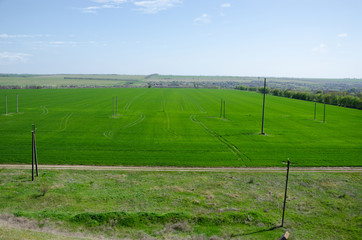 green field on a background clouds