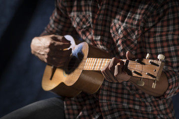 Four string instrument