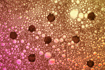 Textured abstract background of bubbles with petals of flowers from pink to yellow