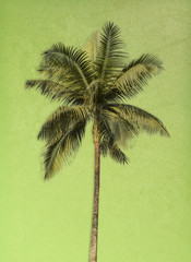 Tropical palm tree poster
