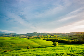 Obraz premium Paysage du Val d'Orcia en Toscane au soleil couchant