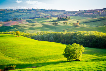 Obraz premium Paysage du Val d'Orcia en Toscane au soleil couchant