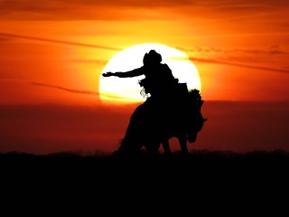 Obraz na płótnie Canvas Bronco rider