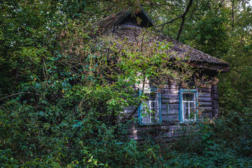 Fototapeta na wymiar Wooden house in Krasne ghost village of Chernobyl Exclusion Zone, Ukraine