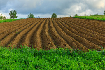 Agricultural field 