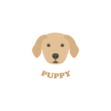Vector Illustration Portrait of Labrador Puppy.