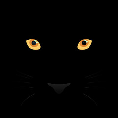 Panther eyes, mustache and nose on black background.