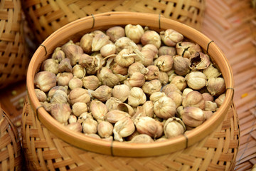 White cardamom Herbs for Cook, Thailand Food.