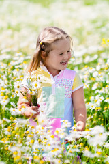 Little girl picking flowers in daisy field