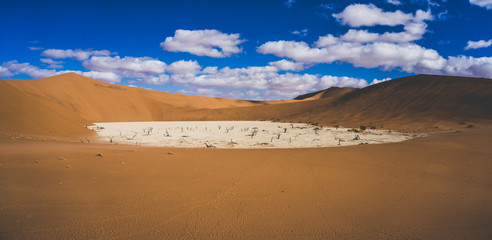 Fototapeta na wymiar Deadvlei, Death Valley - Namib Desert, Namibia