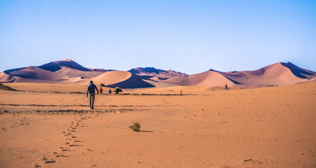 Fototapeta na wymiar Namib Desert, Namibia - African Dunes