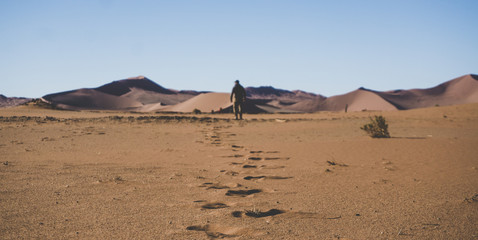 Namib Desert, Namibia - African Dunes