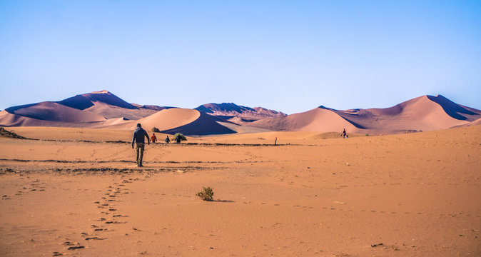 Namib Desert, Namibia - African Dunes