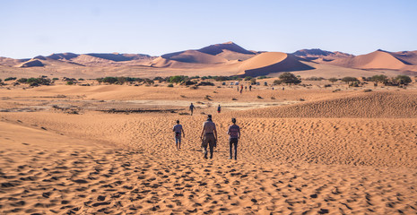 Namib Desert, Namibia - African Dunes