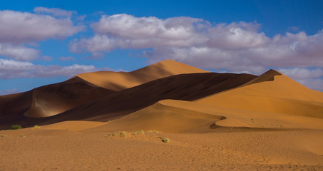 Namib Desert, Namibia - African Dunes