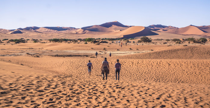 Namib Desert, Namibia - African Dunes