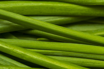 Close up fresh young onion,bunch of fresh shallots,Fresh chives, fresh young onion,green onions feathers heap macro surface texture,Bunches of spring green shallots scallion onions