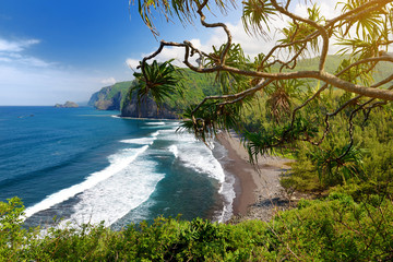 Stunning view of rocky beach of Pololu Valley, Big Island, Hawaii - obrazy, fototapety, plakaty