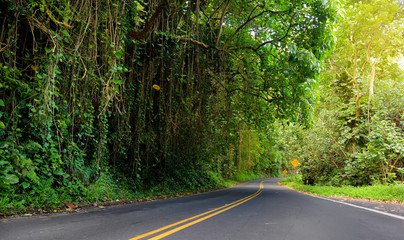 Famous Road to Hana fraught with narrow one-lane bridges, hairpin turns and incredible island views, Maui, Hawaii