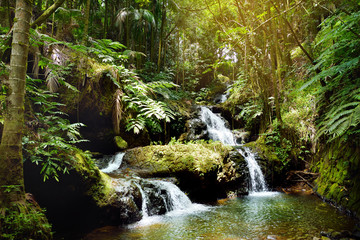 Naklejka premium Onomea Falls located in Hawaii Tropical Botanical Garden on the Big Island of Hawaii