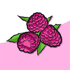 Colored Raspberries Vector Artwork