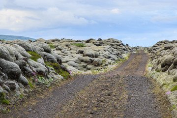 Straße duch ein Lavafeld