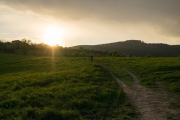 Obraz premium Runner on meadow during sunset. Slovakia