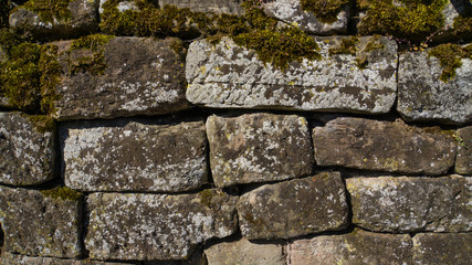 Old Stone wall with green moss background texture