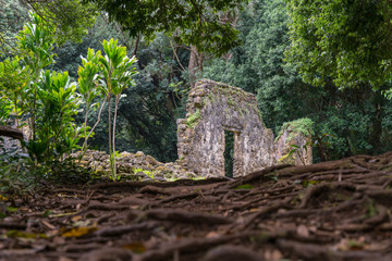 Jungle Summer Palace