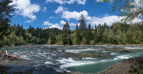 Ox Bow At The Hoh River, Washington State, USA
