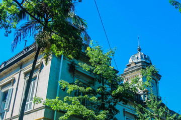 Garden in a Vintage Building