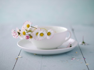 Teetasse mit Gänseblümchen