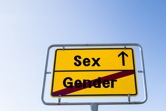 Gender-Debate