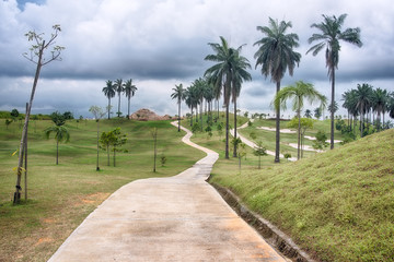 Path on the golf course