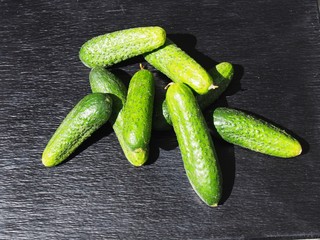 Green spring cucumbers on black background