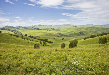 Mountain Altai landscape. Green glade © Crazy nook
