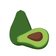 avocado fresh raw food nutrition vector illustration