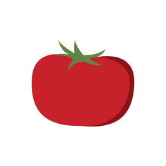 tomato vegetable nutrition vitamin food health vector illustration