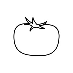 tomato vegetable nutrition vitamin food line vector illustration