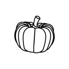 pumpkin vegetable nutrition vitamin food health line vector illustration